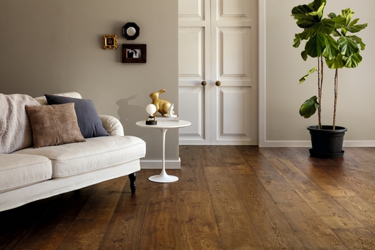 Modern gray and beige living room, elegant dark distressed wood-effect parquet