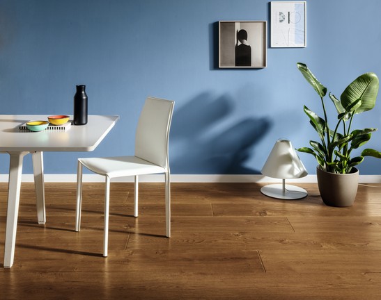 Cuisine moderne avec sol en bois et murs colorés