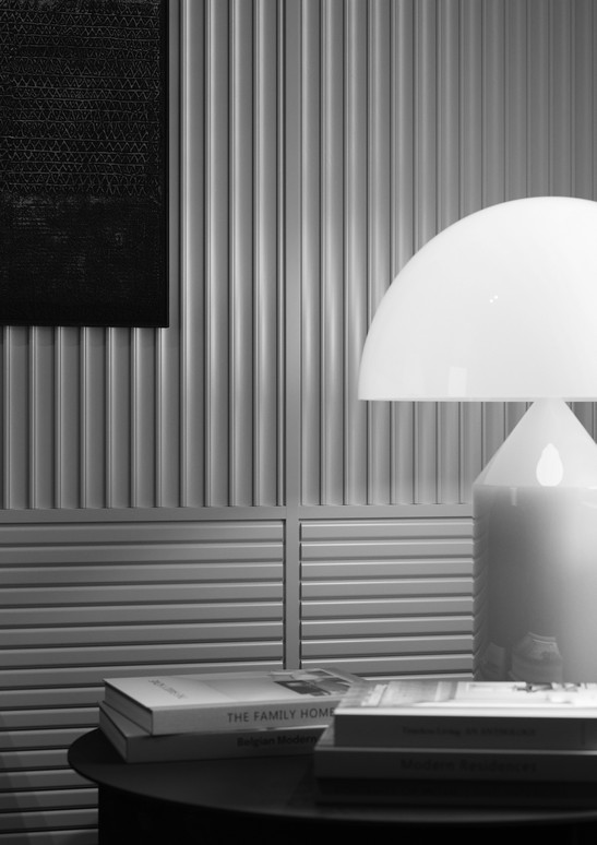 Séjour classique moderne avec panneaux décoratifs muraux blancs