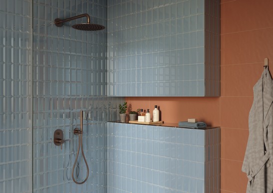 Salle de bains moderne colorée avec douche, carreaux style métro bleus et couleur terre cuite