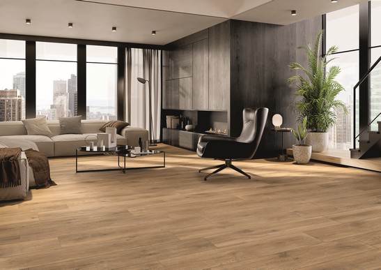 Séjour élégant avec cheminée et carrelage effet bois marron