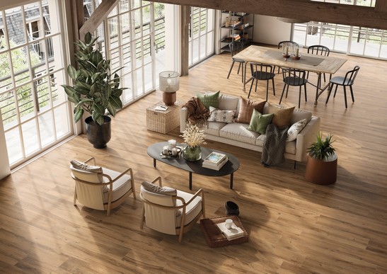 Séjour ouvert moderne avec sol imitation bois pour un style rustique.