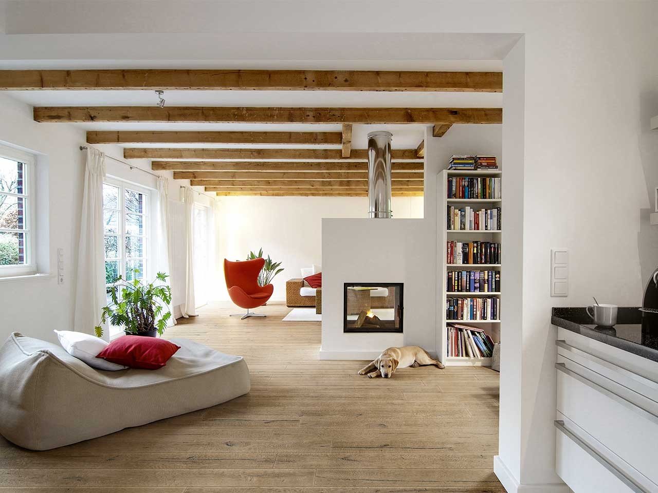 Parquet et animaux de compagnie : quels précautions prendre