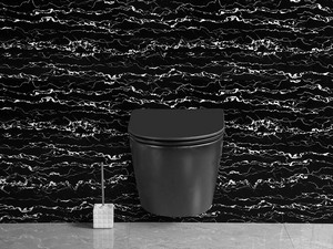 CARDANO RIMLESS WALL-HUNG PAN 48,5x37 BLACK MATT