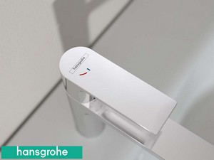 Mitigeur pour lavabo Hansgrohe® Rebris E 110 monocommande chrome