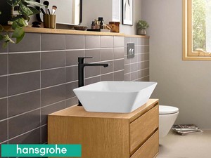 Einhebel-Waschtischarmatur Hansgrohe® Rebris E 240 Schwarz matt