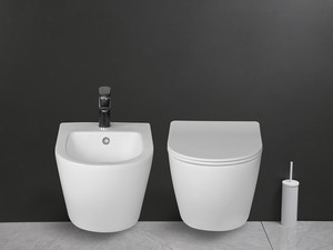 CARDANO VORTEX SUSPENDED TOILET 48,5X37 MATT WHITE