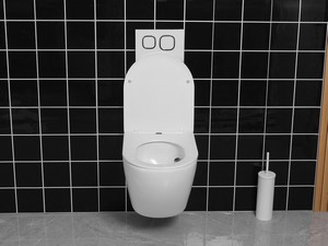 CARDANO VORTEX SUSPENDED TOILET 48,5X37 MATT WHITE