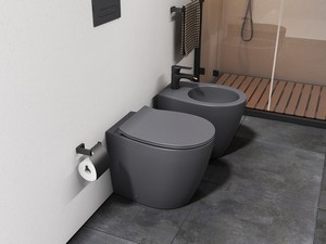 Stand-WC Sentimenti Neo Rimless 52x36 cm wandbündig grau matt