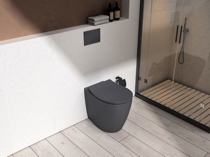 WC à poser Sentimenti Neo Rimless 52x36 cm adossé au mur gris mat