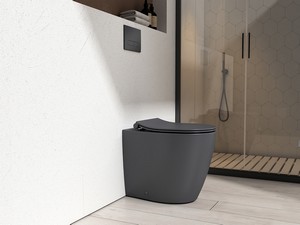 WC à poser Sentimenti Neo Rimless 52x36 cm adossé au mur gris mat