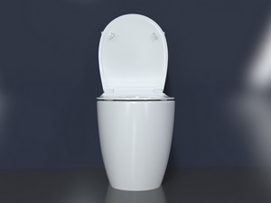 Wc Monoblocco Sentimenti Neo Rimless 65x36,3 cm con Cassetta Bianco Lucido