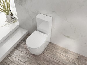 Wc Monoblocco Sentimenti Neo Rimless 65x36,3 cm con Cassetta Bianco Lucido