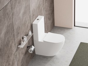 Vortex Cardano Glossy White Monobloc Toilet
