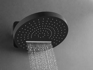 Divina Adjustable 2-Functions Shower Head Matt Black