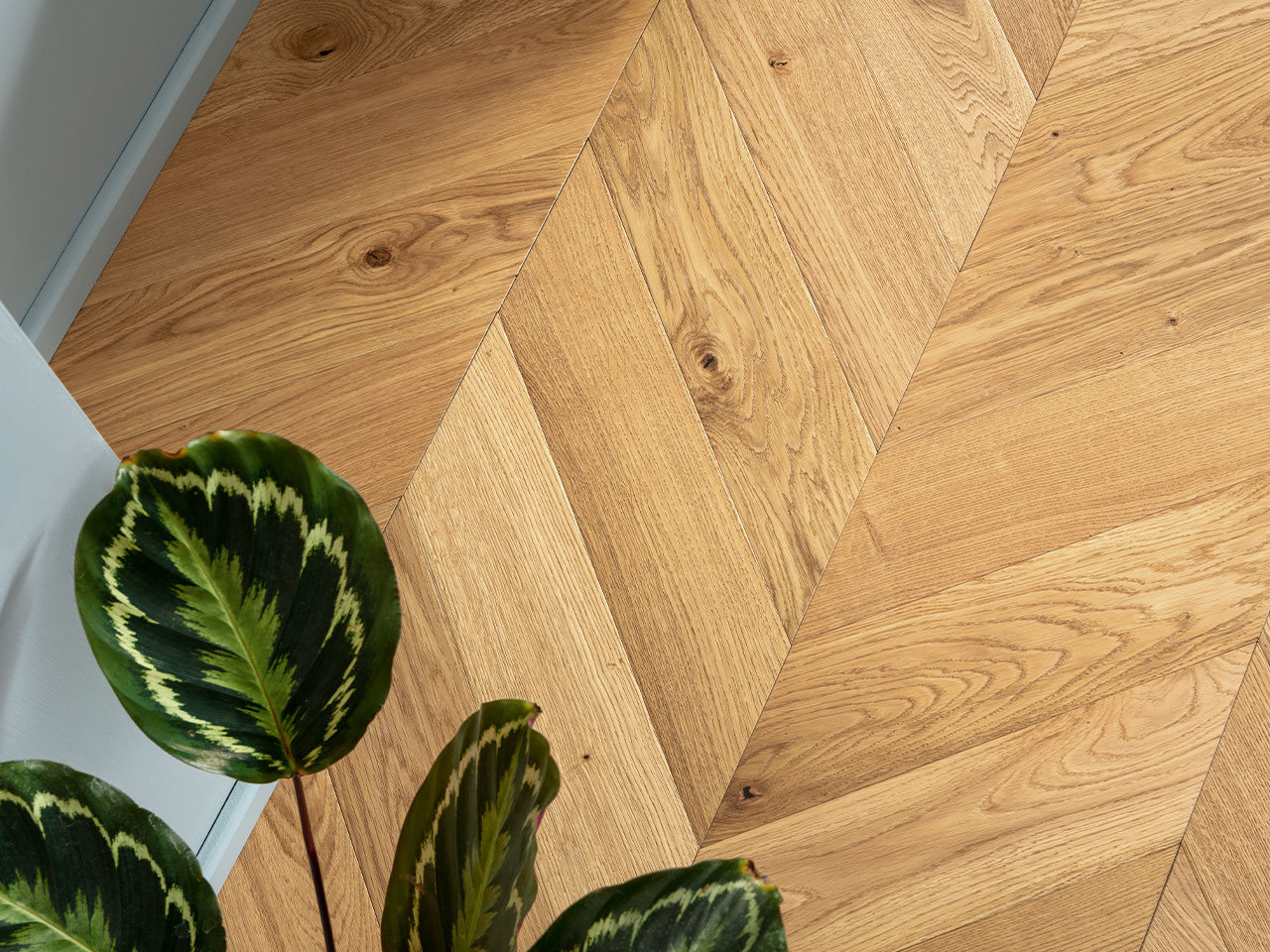 Difference Parquet Chevron Et Point De Hongrie Parquet contrecollé point de Hongrie chêne naturel - Chevron Chêne