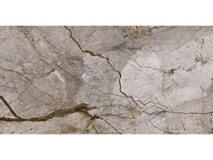 Piastrella Rain Forest Grey Marbles 60X120 Lappato Gres Effetto Marmo Grigio