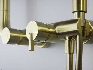 2-Funktionen-Duschsäule Silia, Ausführung in gebürstetem Gold