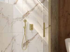 Douche à l’italienne Prizma porte coulissante 90 cm H195 ext. 88-90 cm verre 6 mm transparent profilés or brossé