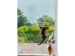 Made-to-measure mosquito net Jolly Lateral