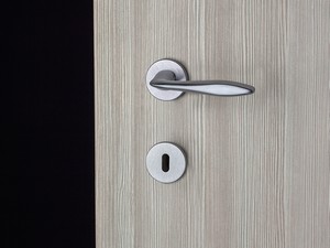 Ritz Handle for Hinged Door Satin Chrome