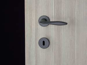 Ritz Handle for Hinged Door Matt Black