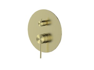 Blende für Duscharmatur einbau 2 Wege Spring Edelstahl 304 gebürstetes Gold