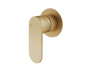 Olmo Satin Gold Built-in Shower Mixer Plate