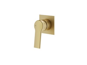 Trend Satin Gold Built-In Shower Mixer Plate
