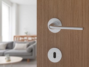 Monza Handle in Satin Chrome