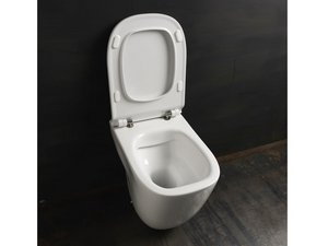 WC à poser Wild sans bride 52x34 cm adossé au mur sortie horizontale/verticale blanc brillant