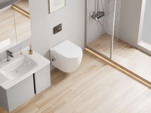 Cardano Wall-Hung dual function pan-bidet