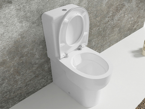 Astra Rimless monolith Close Coupled Sanitary Ware